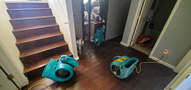 Best Water damage restoration specialists  in Marine City, MI
