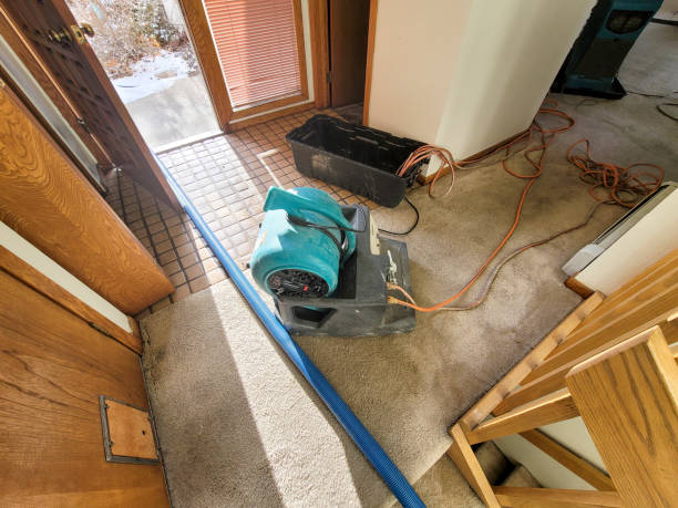 Best Fire Damage Restoration  in Marine City, MI