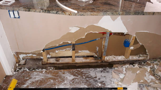 Best Water damage cleanup near me  in Marine City, MI