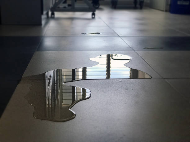 Best Water damage restoration near me  in Marine City, MI