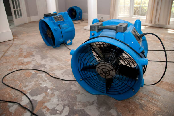 Best Water damage cleanup near me  in Marine City, MI