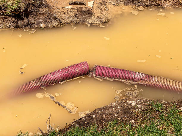 Marine City, MI Water damage restoration Pros